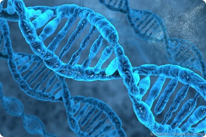 Whole Genome Sequencing applied to Tuberculosis Management.